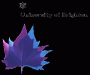 Brighton University